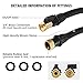 50ft Garden Hose - Upgraded Expandable Garden Hose, Water Hose with Triple Latex Core, 3/4 Solid Brass Fittings -Flexible Water Hose with 9 Spray Pattern Nozzle, Carrying Bag and Hanger- No-Kink