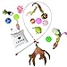 Downtown Pet Supply - Cat Toys for Indoor Cats Pack - Variety Bundle, Kitten Toys Set with Cat Wand, Mice, Cat Toy Ball, Crinkle & Rattle Toys and Catnip - 16 Pack