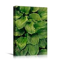 Canvas Wall Art Organic Arrangement Abstract Colorful Contemporary Hallway Mixed Media Multicolor Patterns - 12x18 inches