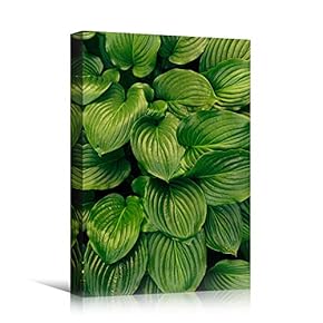 signwin Canvas Wall Art Organic Arrangement Abstract Colorful...