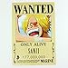 Bluefun Anime One Piece Pirates Wanted Posters 9pcs Set - Style New