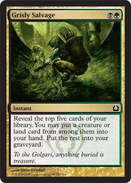 Magic: the Gathering - Grisly Salvage (165) - Return to Ravnica