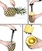 ChefLand Stainless Steel Pineapple Corer | All in One Pineapple Tool, Peeler, Slicer and Cutter | Non Slip Detachable Handle, Sharp Blades, Easy To Use Core Remover Tool, Easy to Clean