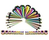 BodyJ4You Taper Kit 36 Pieces Stainless Steel Screw Fit Plugs 14G-00G Stretching Kit