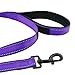Wagtime Club Double Handle Dog Leash, 6ft Long Heavy Duty Dog Leash with Paded Traffic Handles for Extral Control and Training, Dual Handles Leads, Large Medium Small Dogs (Reflective Vibrant Purple)