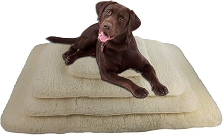 24x36 orthopedic dog bed