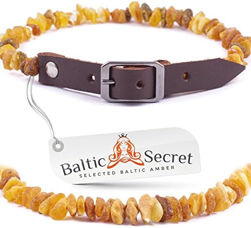 Baltic Amber Dog Cat Collar, Certified Raw Amber Gems That are 50% Richer and Higher in Value - from Baltic Secret/BRN50-55/