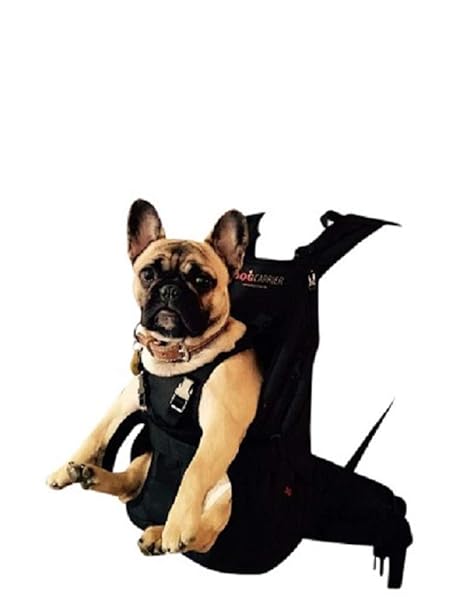 Dog Carrier / Pet Carrier / Hundetasche / Rucksack für Hunde / Hundetrage / Hundetragetasche / Hunderucksack / Tasche für Hun