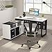 Tribesigns Wood File Cabinet, 2 Drawer Storage Printer Stand, Mobile Lateral Filing Cabinet with Locks and Wheels, Open Storage Shelves for Study, Home Office (Black&White)