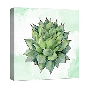 Canvas Wall Art for Living Room,Bedroom Home Artwork Paintings Succulent Ready to Hang - 12x12 inches