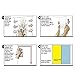 wall26 Creative Wall Sticker - A Curious Giraffe Sticking Its Head into an Open Window-Cute & Funny Wall Mural - 36 inchx48 inch