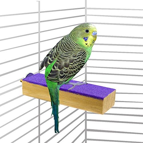 ULIGOTA Colorful Wood Perch Stand Platform Toy Playground Paw Grinding Clean for Pet Bird Parrot Budgies Parakeet Conure Hamster Gerbil Rat Mouse Cage Accessories Stands Exercise Toy (Style A)