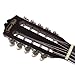 Santa Rosa KQ200K Deluxe Puerto Rican 10 String Cuatro Kit(Cuatro Puertorriqueno)