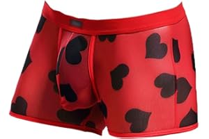 Evankin Men's Underwear Sexy Mesh Breathable Boxer Briefs Low Rise Cool Valentines Boxers Pack Set