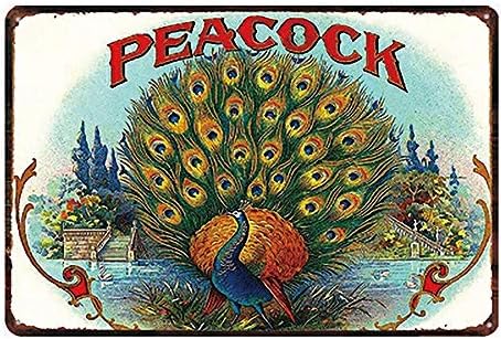 Sary buri Peacock Vintage Metal Tin Sign Targa Parete Art Adatto Per Garage Club Bar Cafe Pittura Decorazione