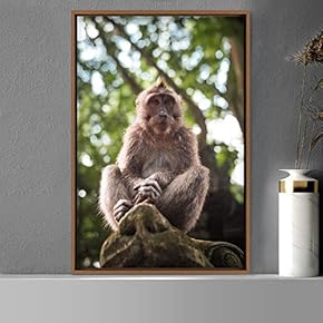 signwin Framed Canvas Wall Art Monkey Animals Expressive...