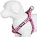 Blueberry Pet Step-in Harnesses, Chest Girth 19.5