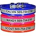 GoTags Reflective Waterproof Dog Collars Personalized, Engraved with Pet Name and Phone Number, Extra Durable BioThane Collar Resistant to Dirt, Oils and Moisture, Odor-Proof