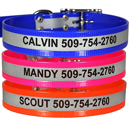 GoTags Reflective Waterproof Dog Collars Personalized, Engraved with
