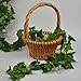 RURALITY 8 Ft Artificial Silk Greenery Chain Ivy Wedding Garland ,Sweet Potato Leaf Pack of 2