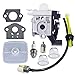 HUZTL Carburetor with Repower Maintenance Kit Spark Plug for ECHO GT225 GT225i GT225L PAS225 PE225 PPF225 SHC225 SRM225 SRM225U Trimmer