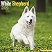 White Shepherd Calendar - Dog Breed Calendars - 2019 - 2020 Wall Calendars - 16 Month by Avonside (M by 