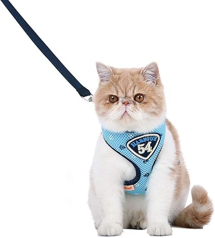 GWFVA Arnés para Gatos a Prueba de Escape con Correa ...