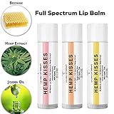 Organic Hemp Lip Balm | Natural Beeswax Lip Balm Set | All Natural Lip Balm w/Jojoba Oil, Coconut Oil & Essential Oils | Best Hemp Chapstick for Dry, Chapped & Cracked Lips | Lip Repair | 3 Pack
