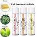 Organic Hemp Lip Balm | Natural Beeswax Lip Balm Set | All Natural Lip Balm w/Jojoba Oil, Coconut Oil & Essential Oils | Best Hemp Chapstick for Dry, Chapped & Cracked Lips | Lip Repair | 3 Pack