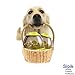 SIPIK Treat Dispensing Dog Toy Dog Toy IQ Treat Ball Pet Food Ball Interactive Treat Kibble Dispensing Dog Food Activity Treat Ball