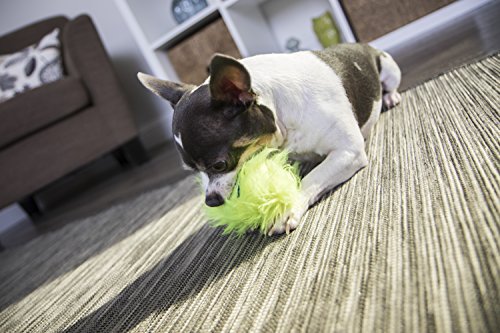 goDog Just For Me Furballz with Chew Guard Tough Plush Dog Toy, Lime, Small - Thumbnail 2