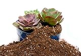 Succulent & Cactus Soil Mix by Perfect Plants (8QTS)