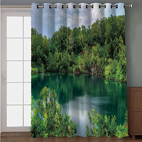 Iprint Blackout Patio Door Curtain Forest Pulau Ubin Singapore