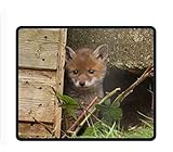 Animal Fox 11.8-Inch by 9.85-Inch Computer Mouse