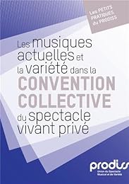 Les  musiques actuelles et la variété dans la convention collective du spectacle vivant privé