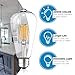 Hudson Bulb Co. Vintage Edison LED Light Bulbs, 6W, E26/E27 Base, Dimmable 60W Equivalent, 4000K Daylight White Lights, ST58 Style Set for Home, Kitchen, Indoor and Outdoor Use - 6 Pack