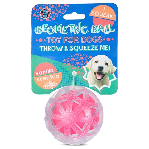 Bow Wow Dental Ball for Dogs – 3.5" Vanilla Scented TPR Toy with Mini Spikes –…