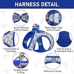 GAMUDA Small Pet Harness Collar and Leash Set, Step