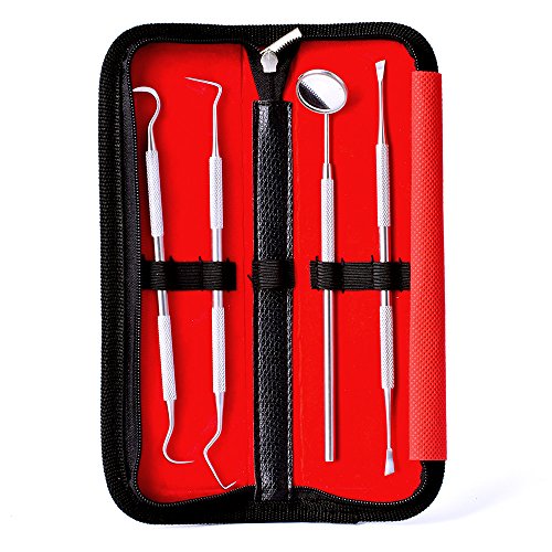 Dental Care Kit for Plaque Removal 4 Piece Tool Set Including Dentist