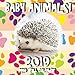 Baby Animals! 2019 Mini Wall Calendar by