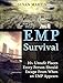 EMP Survival: 10 + Unsafe Places Every Person Should Escape When EMP Appears (Survival, EMP Survival, EMP Survival Fiction)