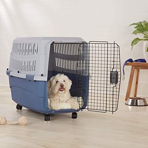 Amazon Basics HardSided Pet Travel Carrier with Plastic Ventilation