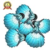 ITEMporia® Multicolor LED Badminton Shuttlecock W Auto On & Off Feature - Dark Night Glow Birdies Lighting For Outdoor & Indoor Sports Activities, Set of 6