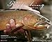 What Fly Fishing Teaches Us 2015 Wall Calendar by 