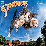 Pounce 2020 12 x 12 Inch Monthly Square Wall Calendar, Kitten Humor (English, French and Spanish Edi by 