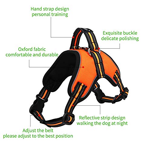 baobÃ« Adjustable Outdoor Pet Vest Light Weight Dog Harness Dogs Leash Set with Reflective Oxford Material for Large Medium Dogs Outdoor Training Walking