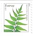 USPS Ferns Stamps - 50 Forever Stamps (5 Strips of 10 Stamps)