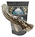 WhiteTail Naturals - Deer Antlers for Large Dogs - Long Lasting Antler Dog Chews - Crafted in USA, Naturally Shed Antler Dog Bones for Aggressive Chewers (Large (Pack of 1))