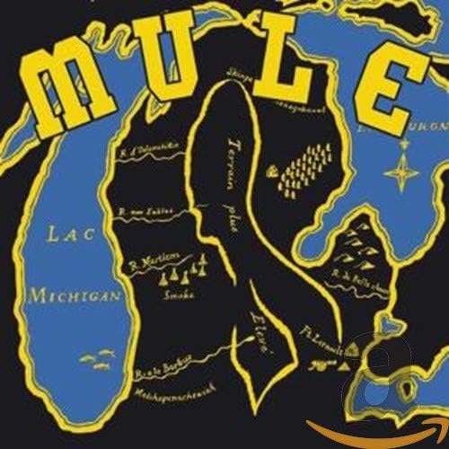 Mule