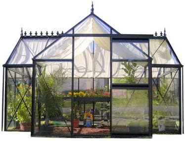 Amazon Com Invernadero De Cristal De Orangerie Junior Jardin Y Exteriores